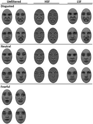 Subliminal Face Emotion Processing: A Comparison of Fearful and Disgusted Faces